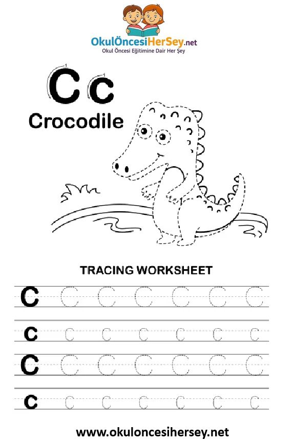 Çizgi Çalışmaları