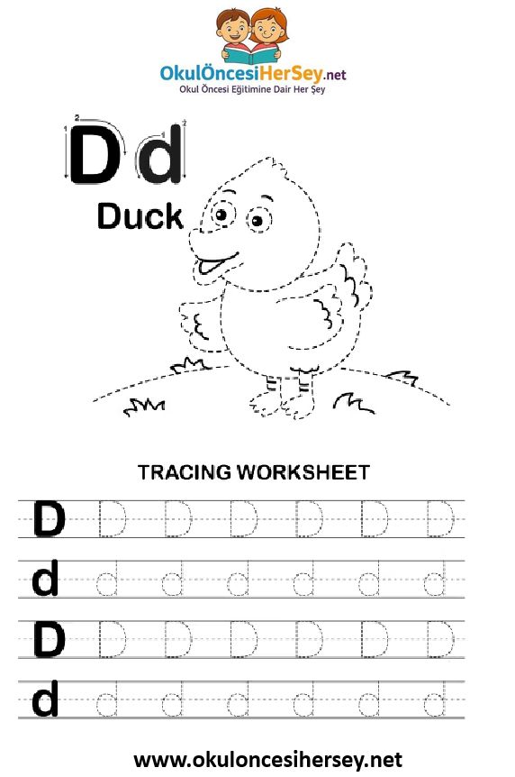 Çizgi Çalışmaları