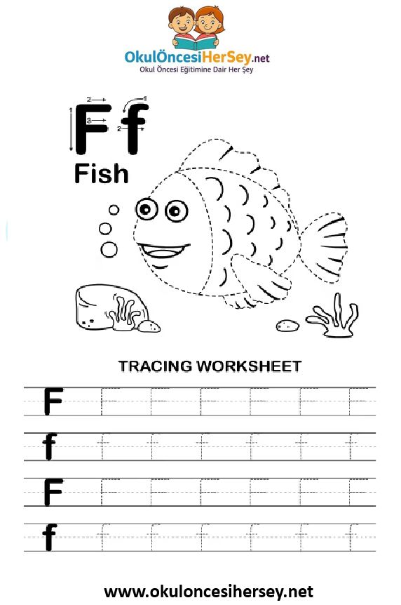 Çizgi Çalışmaları