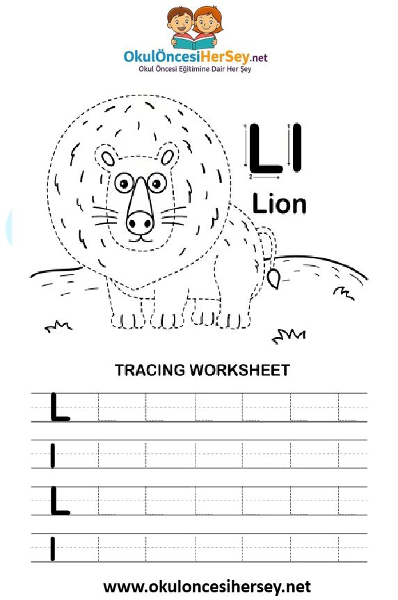 Çizgi Çalışmaları