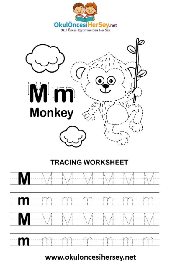 Çizgi Çalışmaları