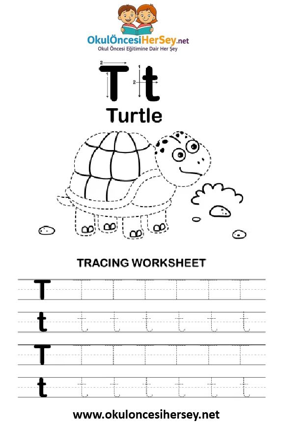 Çizgi Çalışmaları