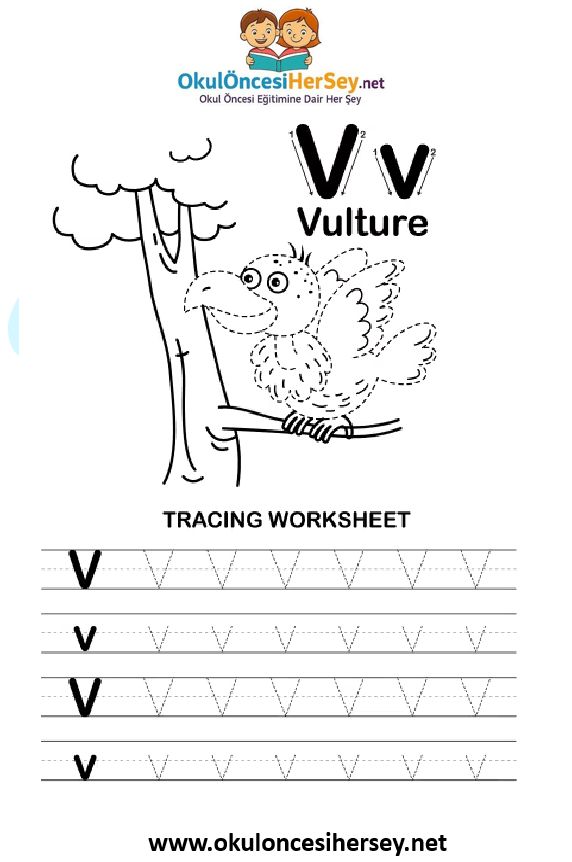 Çizgi Çalışmaları