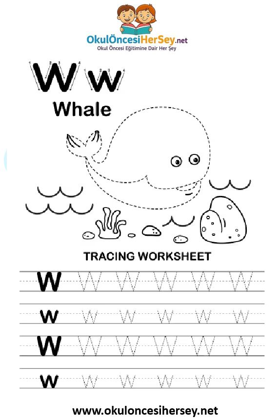Çizgi Çalışmaları