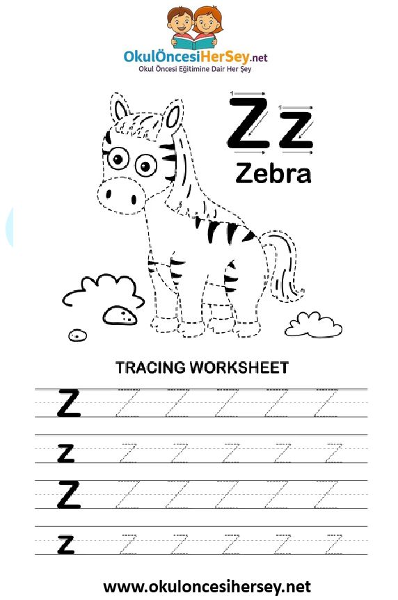 Çizgi Çalışmaları