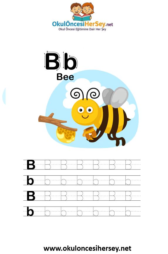 Çizgi Çalışmaları