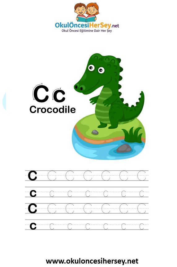 Çizgi Çalışmaları