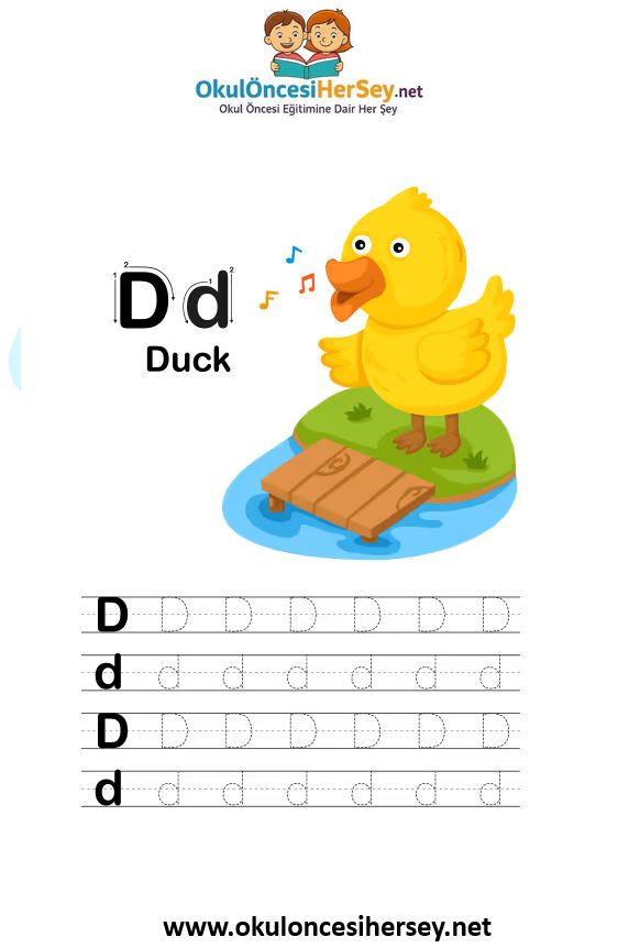 Çizgi Çalışmaları