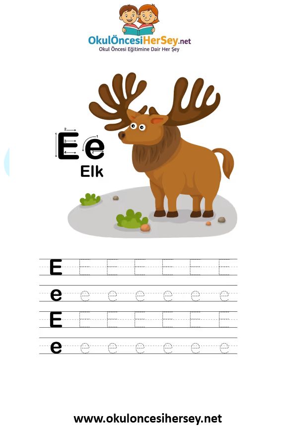 Çizgi Çalışmaları