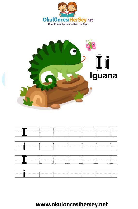 Çizgi Çalışmaları