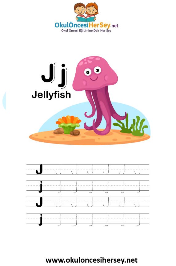 Çizgi Çalışmaları