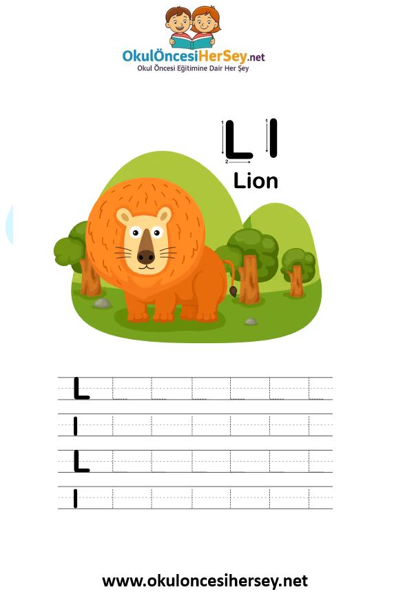 Çizgi Çalışmaları