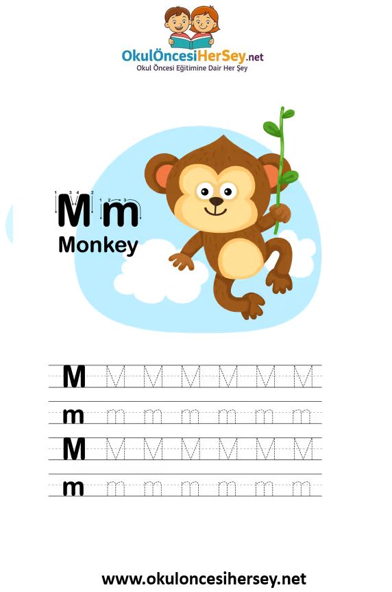 Çizgi Çalışmaları