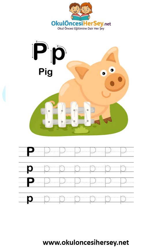 Çizgi Çalışmaları
