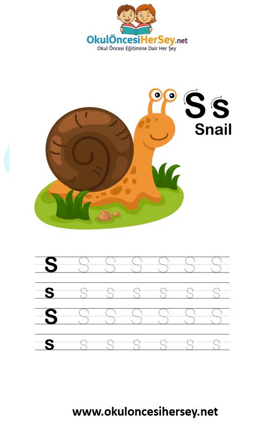 Çizgi Çalışmaları