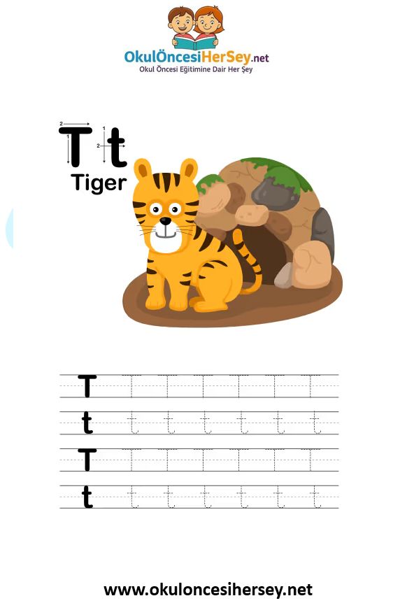 Çizgi Çalışmaları