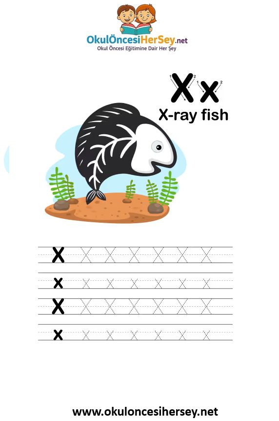 Çizgi Çalışmaları