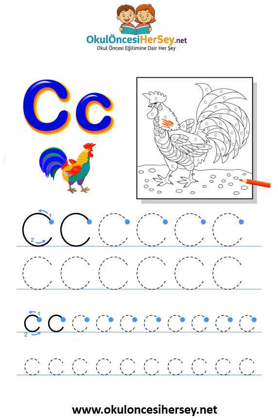 Çizgi Çalışmaları