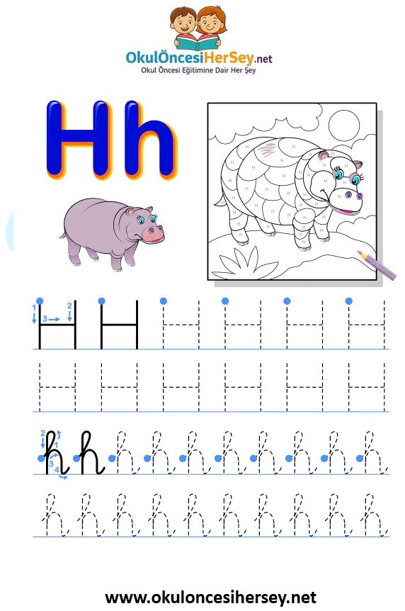 Çizgi Çalışmaları