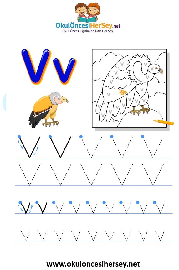 Çizgi Çalışmaları