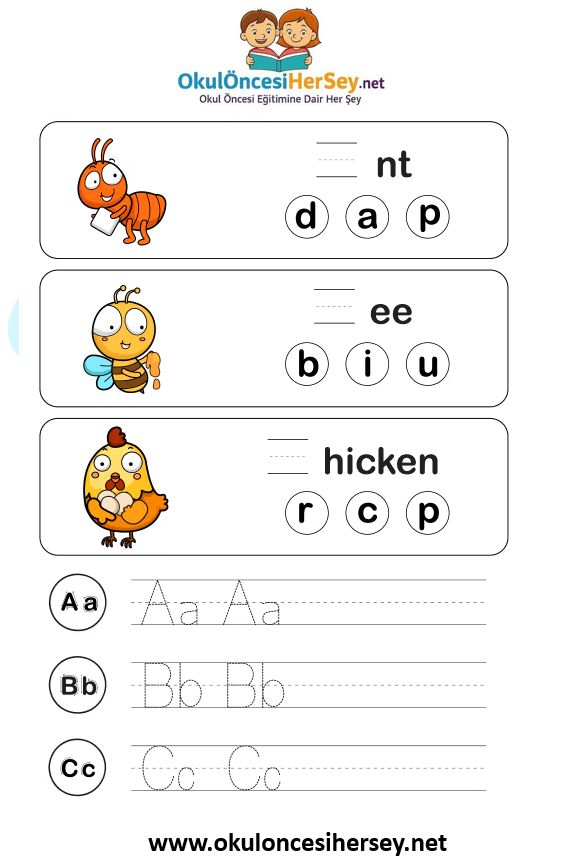 Çizgi Çalışmaları