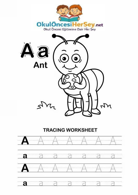 Çizgi Çalışmaları