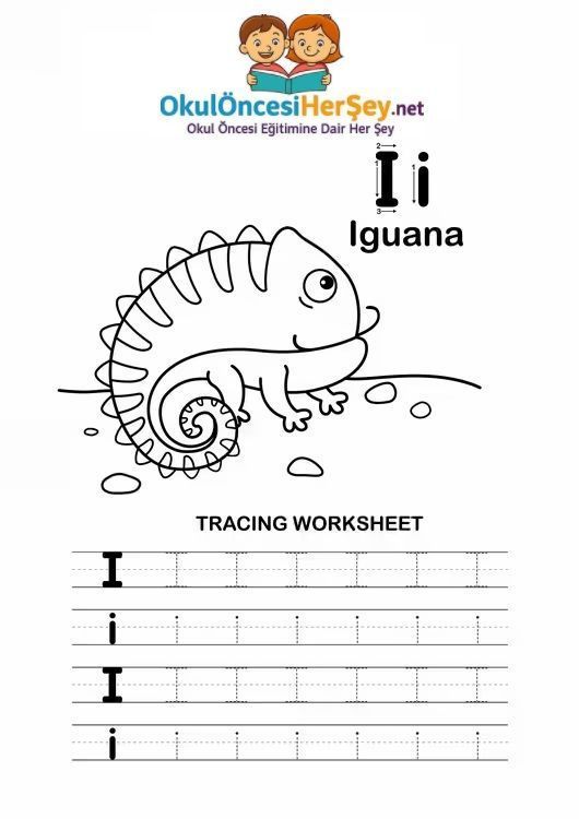 Çizgi Çalışmaları