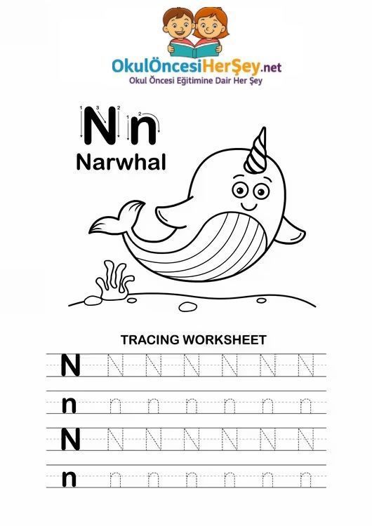 Çizgi Çalışmaları