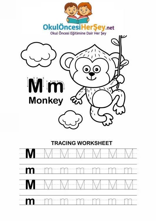 Çizgi Çalışmaları