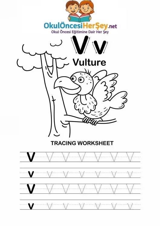 Çizgi Çalışmaları