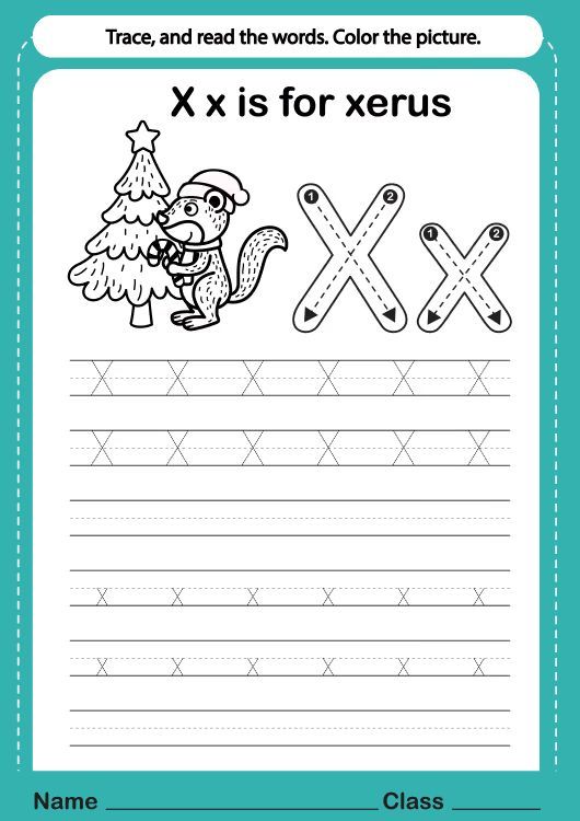 Çizgi Çalışmaları