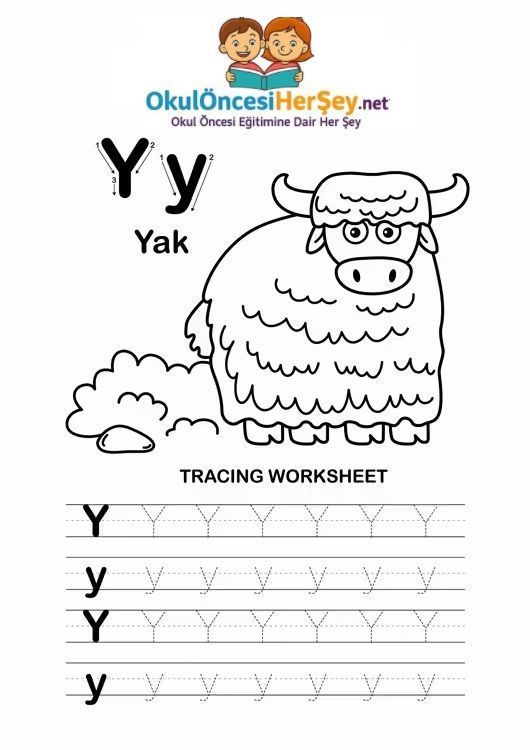 Çizgi Çalışmaları