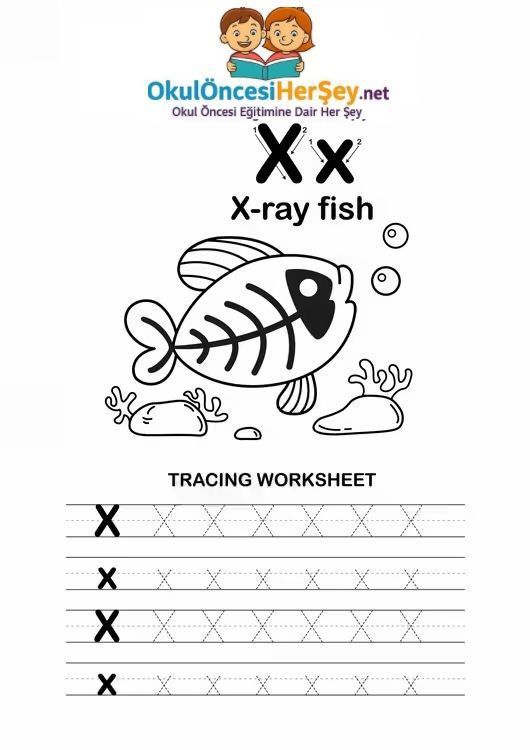 Çizgi Çalışmaları