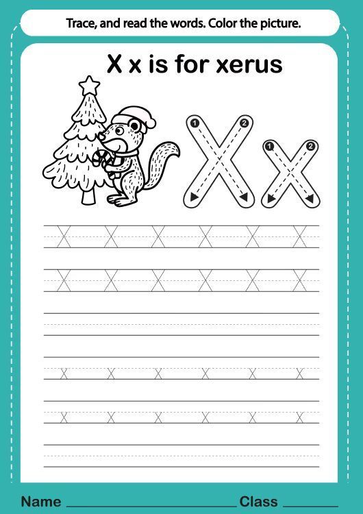 Çizgi Çalışmaları