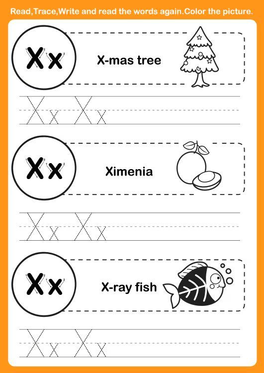 Çizgi Çalışmaları