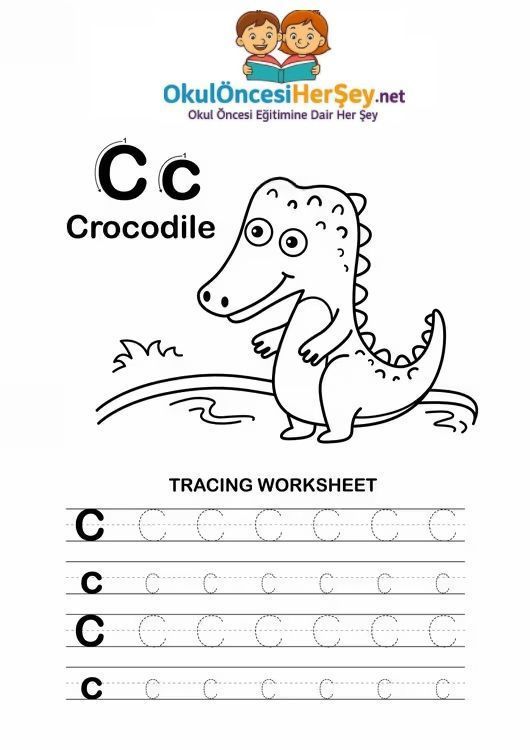 Çizgi Çalışmaları