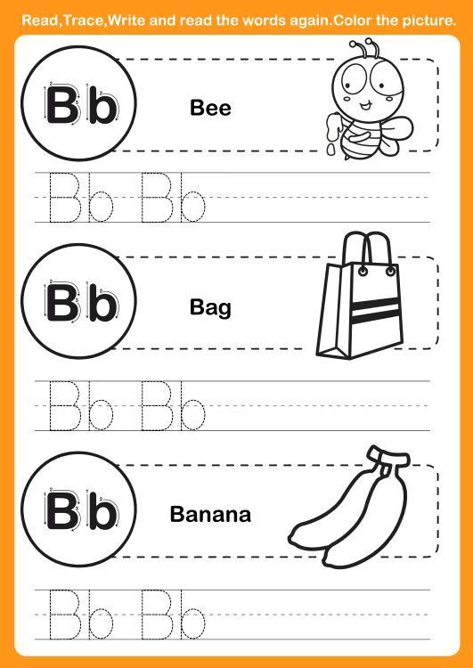 Çizgi Çalışmaları