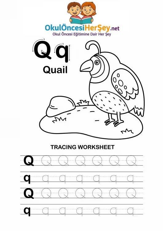 Çizgi Çalışmaları