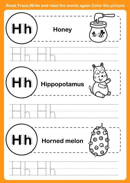 Çizgi Çalışmaları