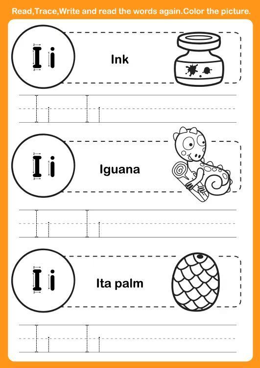 Çizgi Çalışmaları