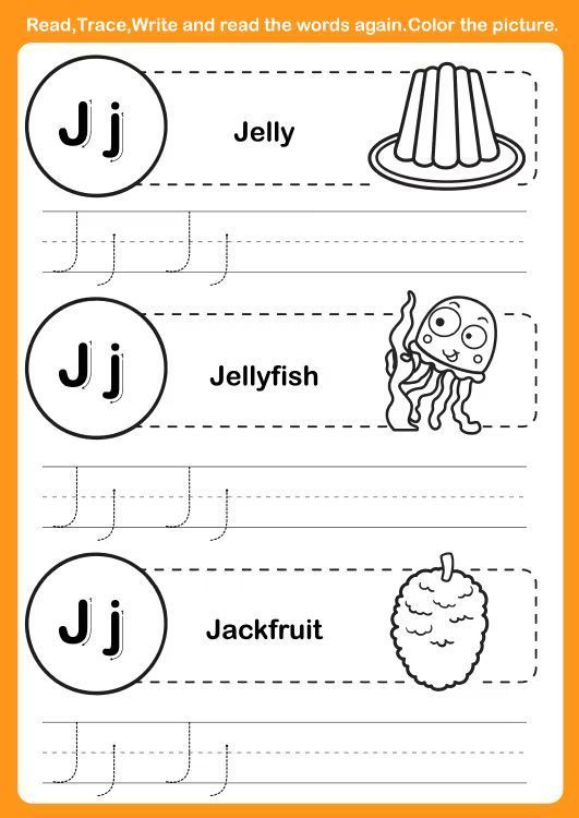 Çizgi Çalışmaları