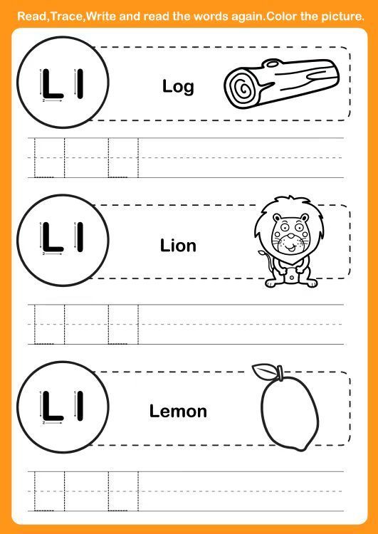 Çizgi Çalışmaları