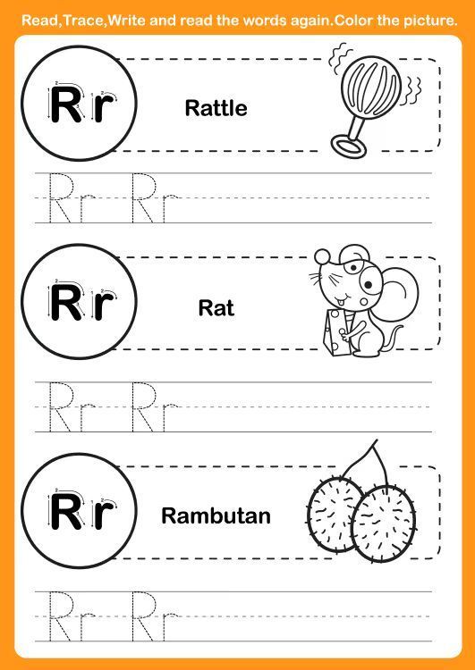 Çizgi Çalışmaları