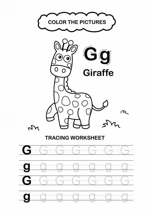 Çizgi Çalışmaları