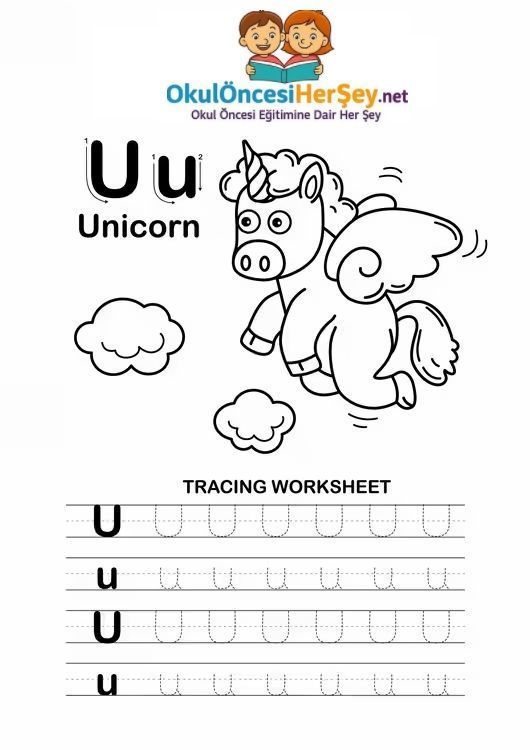 Çizgi Çalışmaları