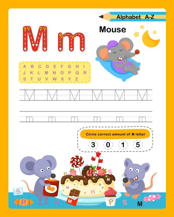 Çizgi Çalışmaları