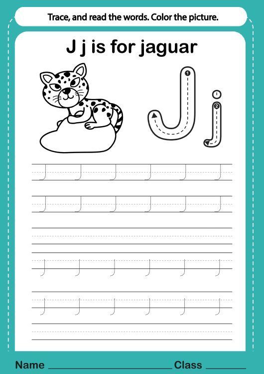 Çizgi Çalışmaları