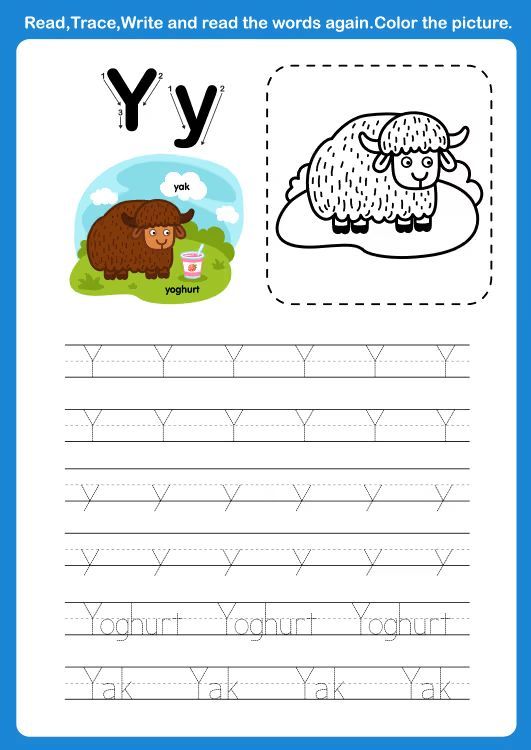 Çizgi Çalışmaları