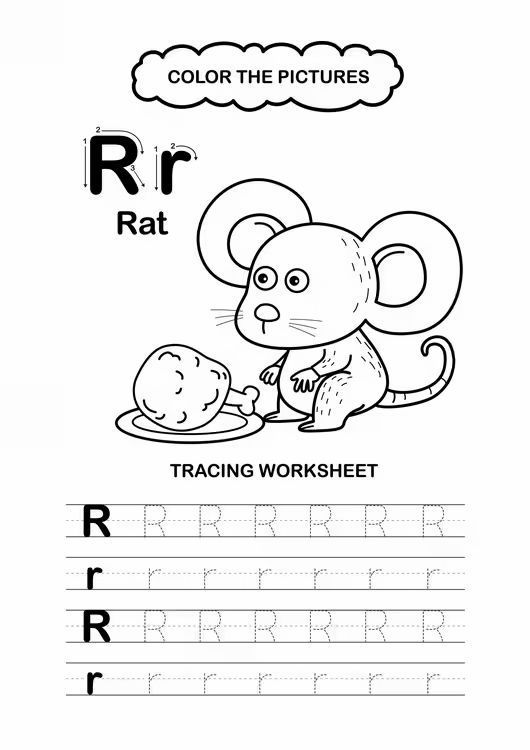Çizgi Çalışmaları