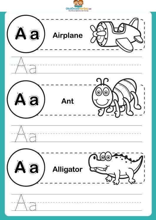 Çizgi Çalışmaları